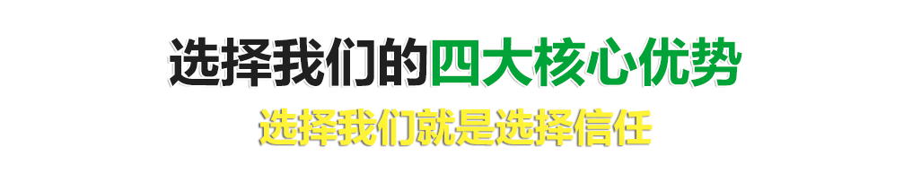 选择我们的四大核心优势