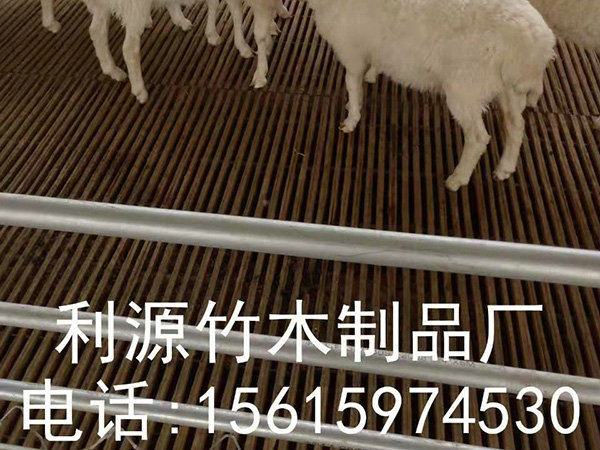 案例展示